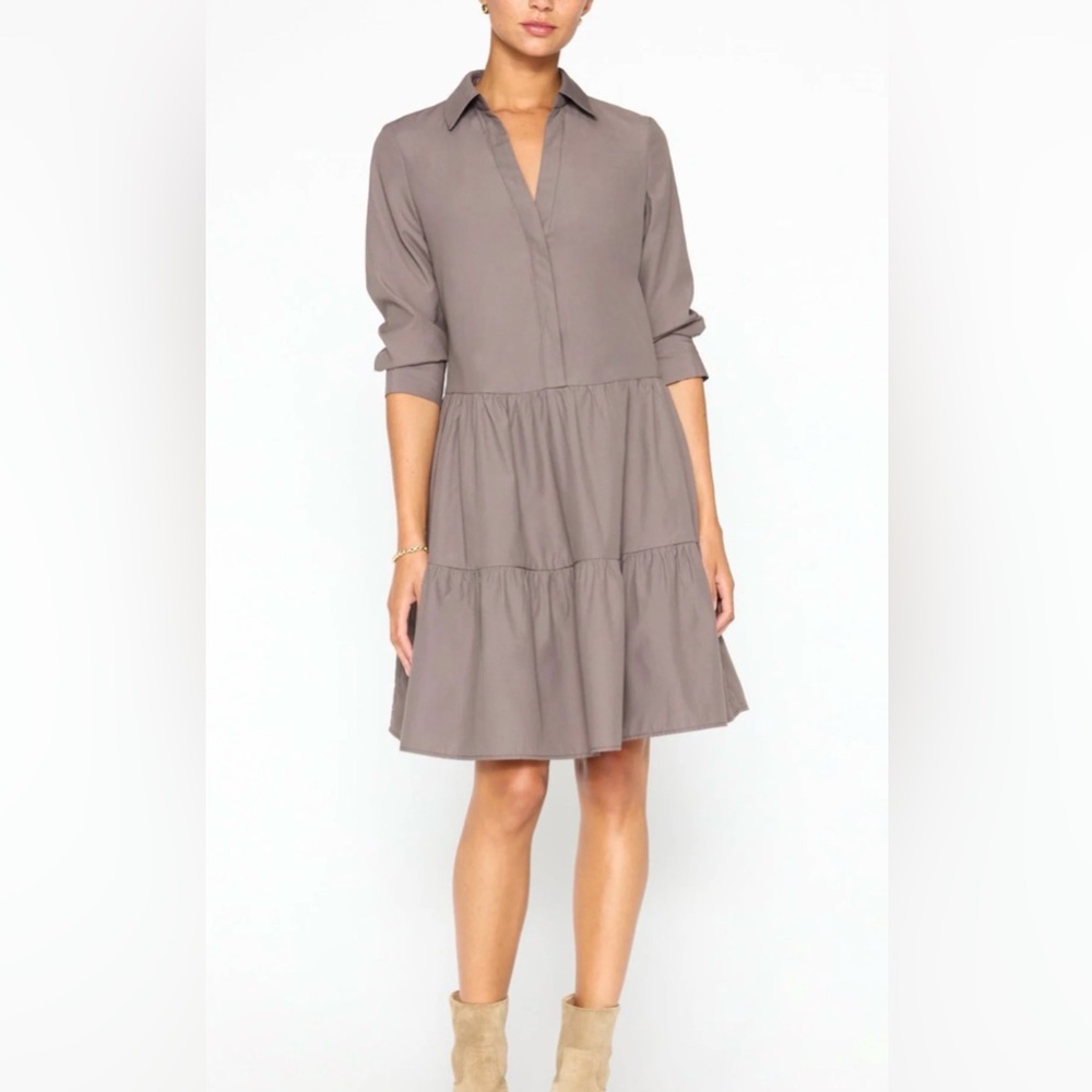 Brochu Walker Size XS • Brown Dress.